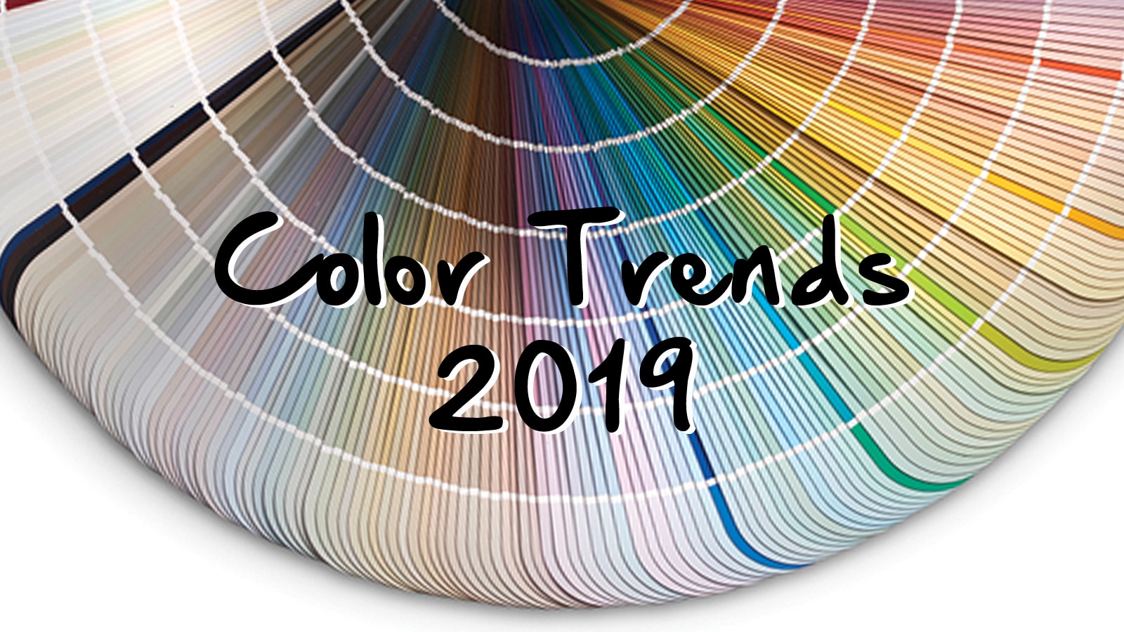 Color Trends for 2019!