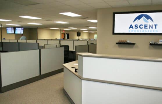 Image Alt Image Alt